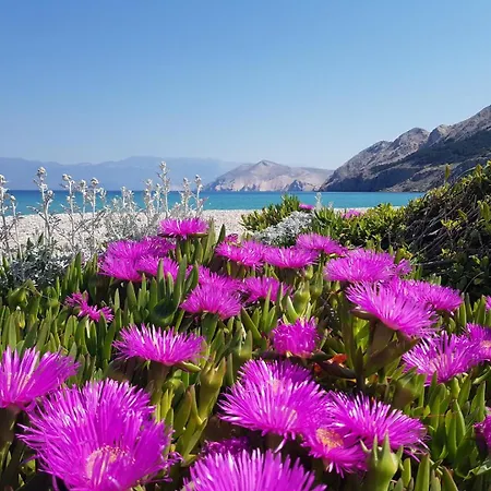 ゲストハウス Osmanovic